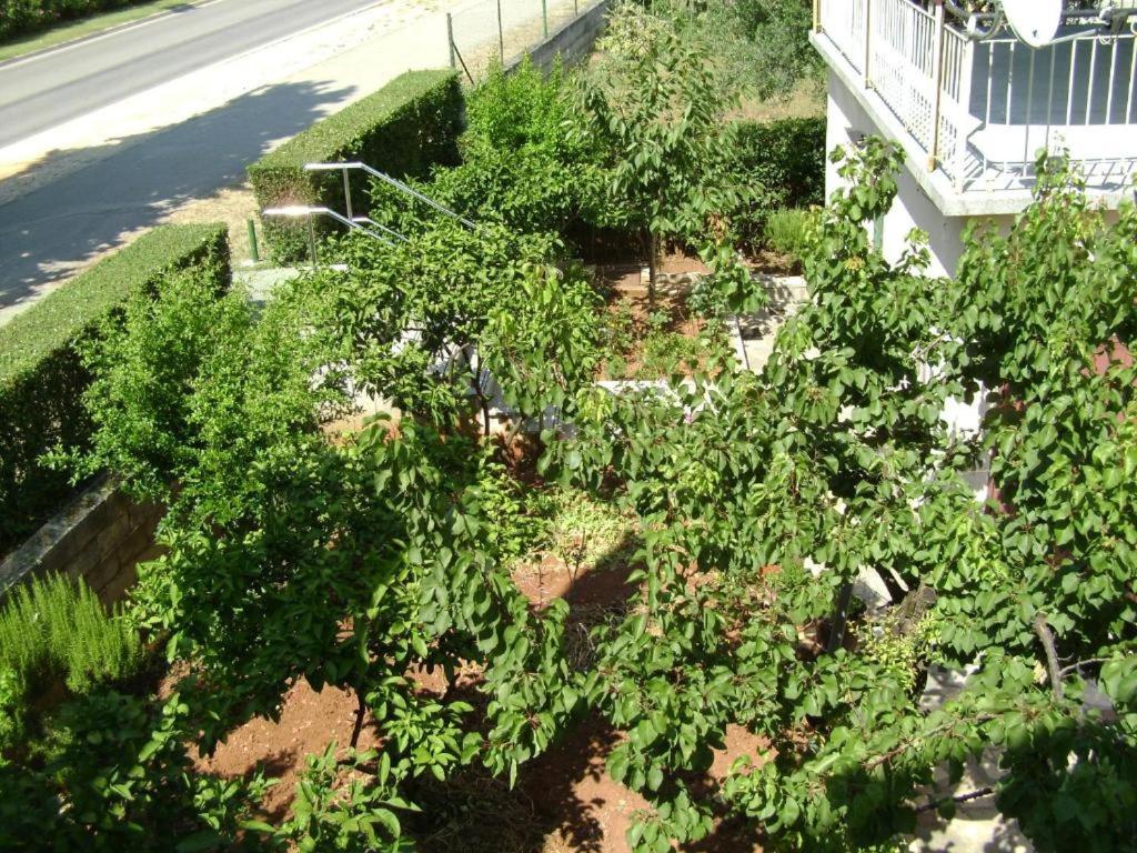 Apartmani Tome Zadar