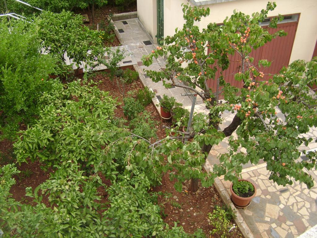 Apartment Apartmani Tome
